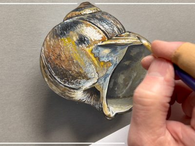 Coquillage en trompe-l’oeil Comment dessiner un coquillage en trompe-l’oeil